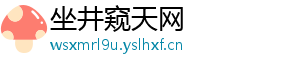 坐井窥天网